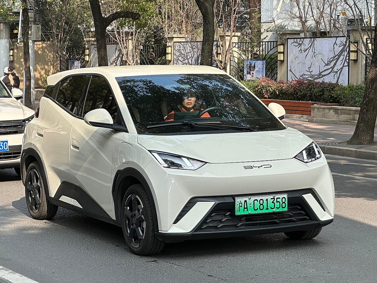 BYD Dolphin Mini